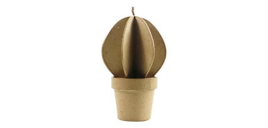* Cactus boule - Kraft
