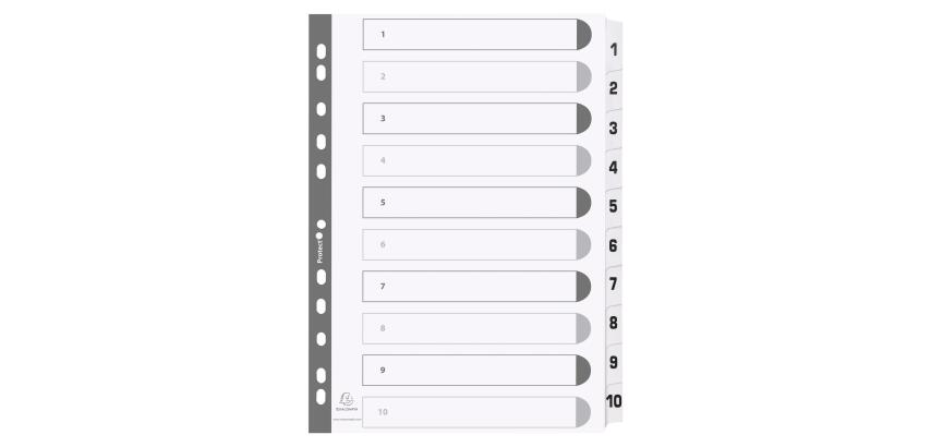 10Z - Separadores Separadores con pestañas impresas cartulina blanca 160 g/m 2 Con pestañas blancas plastifi cadas reforzadas - Blanco