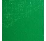 Peinture à l'huile extra-fine tube 200ml - Vert veronese