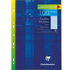 Etui met gekleurde losse bladen A4 50 geperforeerde bladen geruit 5x5mm