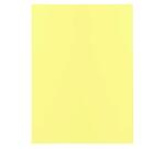 Pack of 100 folders SUPER 60 - 22x31cm