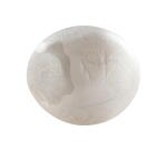 Cernit METALLIC 250 g Nacré - Nacré