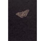 Flying Spirit bloc collé 50F 16x21cm 90g - Noir