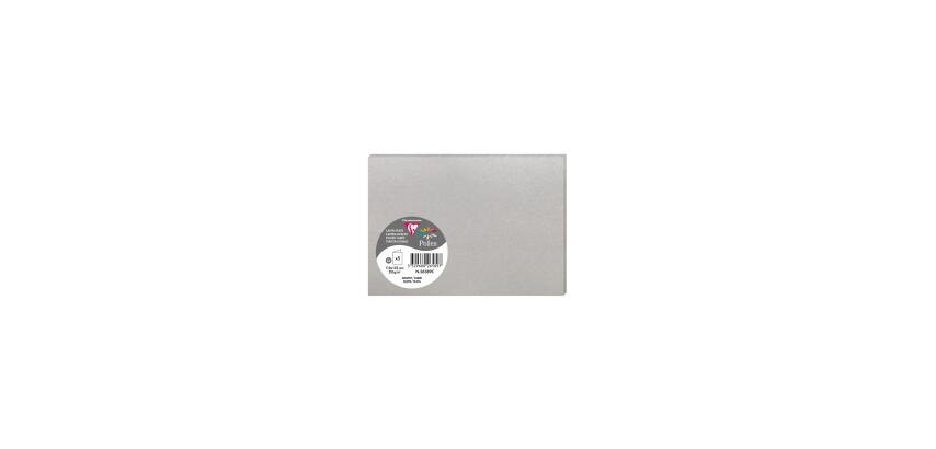 Paquet de 5 cartes pliées Pollen 110x155mm 210g/m2 - Argent