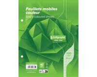 Feuillets mobiles sous film 7000 17x22 cm 100 pages perforées 2 trous grands carreaux 80 g