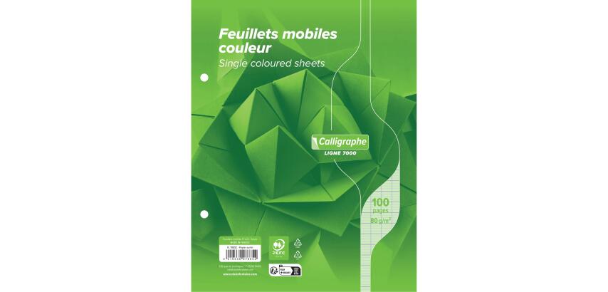 Clairefontaine Loose-Leaf Sheets, Ligne 7000, Seyes, 17x22cm 80g