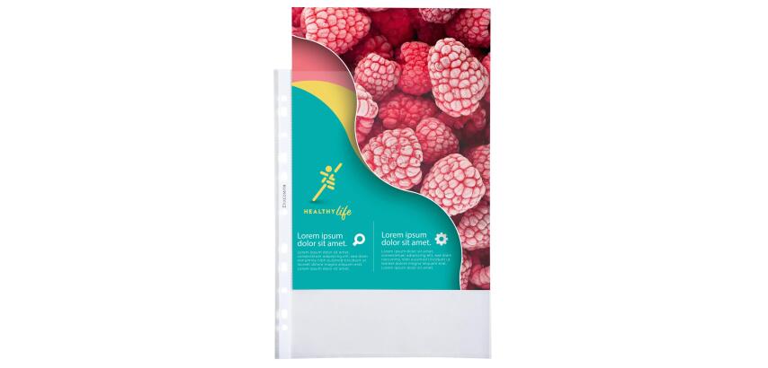 Sachet de 100 pochettes perforées polypropylène grainé Qualité + - A4 - Cristal