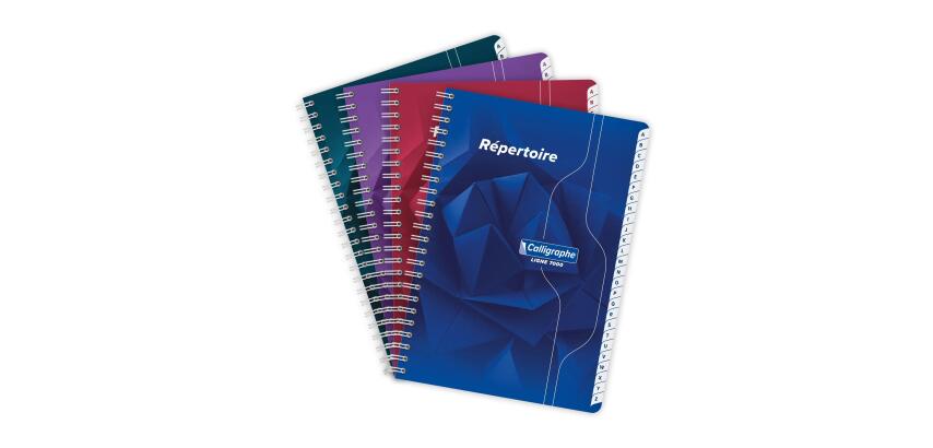 Répertoire reliure intégrale 7000 A5 180 pages petits carreaux 70 g - Assortis