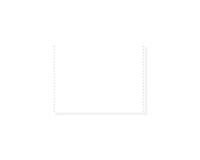 "1000 feuilles de listing blanc autocopiant 380x11"" 2plis Bandes Caroll Détachables" - Blanc