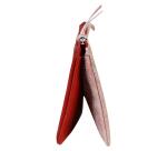 Ruby DAIM Pochette 2 compartiments 22x11 cm Rouge brillant