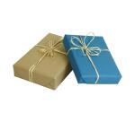 Canson kraftpapier ft 68 x 300 cm, blauw