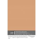 PastelGrain paquet 5F 50x70cm 360g - Sienne