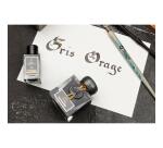 Encre 1670 à paillettes dorées 15ml - Gris orage