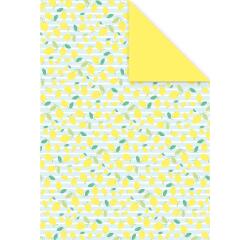 DECORATIV', Paquet de 25 feuilles 160g/m2 au format 21x29,7cm - Fraîcheur citron 5 - Multicolore