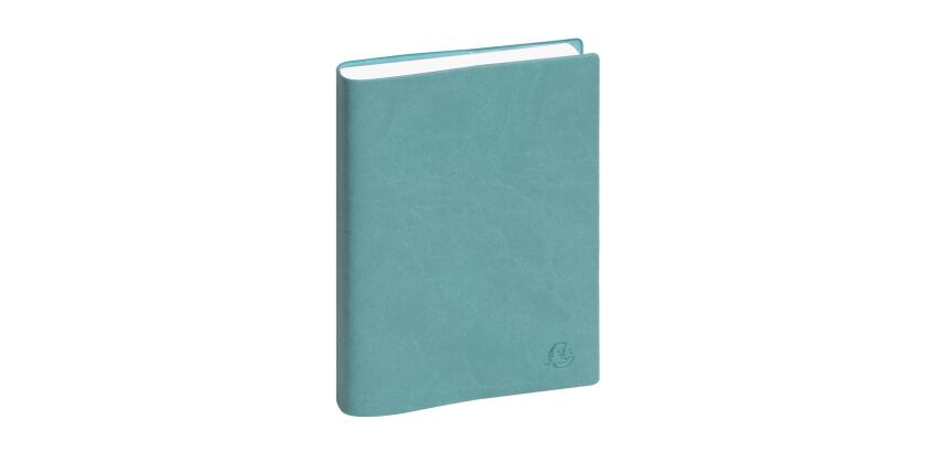 Agenda de bureau EasyDay 17 Ondine 12 x 17 cm Journalier Janvier à Décembre 2027 - Couleurs assorties