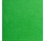 Peinture à l'huile extra-fine tube 35ml - Vert de cadmium foncé