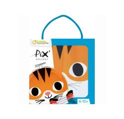 Pix Gallery, Tambourin Chat - Orange