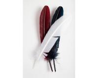 Plumes d'oie taillées 28cm