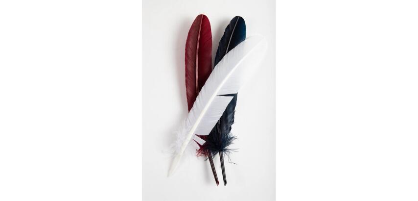 Plumes d'oie taillées 28cm