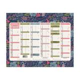 Calendrier illustré Mini Labo 17 x 13 cm Semestriel 2027 - Visuel