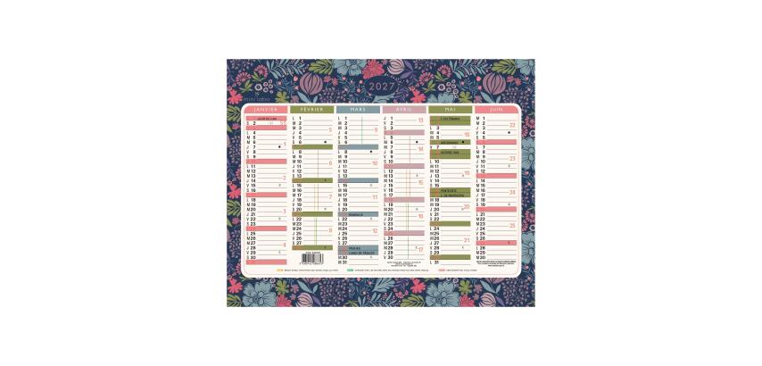 Calendrier illustré Mini Labo 17 x 13 cm Semestriel 2027 - Visuel