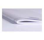 Cahier piqué 8000 POLYPRO A4 192 pages petits carreaux 90 g - Incolore