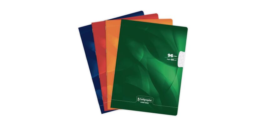 Cahier piqué 8000 CARTE 24x32 cm 96 pages petits carreaux 90 g - Assortis
