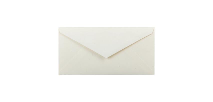 20 enveloppes DL (110x220mm) paille gommées - ivoire