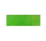 HD classique 125ml Vert anis - Vert anis
