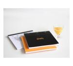 Bloc agrafé Rhodia Le Carré N°210 21x21 cm 80 feuillets petits carreaux 5x5 80g - Noir