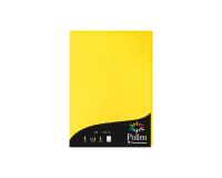 Etui de 50 feuilles Pollen 210x297mm 120g/m2