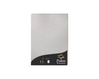 Etui de 50 feuilles Pollen 210x297mm 120g/m2