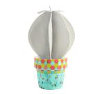 * Cactus boule - Kraft