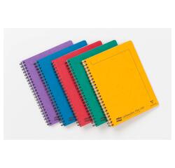 Notemaker+ Europa cahier reliure intégrale A4+ 240 pages détachables perforé 4 trous ligné + marge - Assortiment A