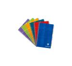 Clairefontaine Wirebound Index Book with Blank Tabs 110x170 5x5 Ruled - Assortment
