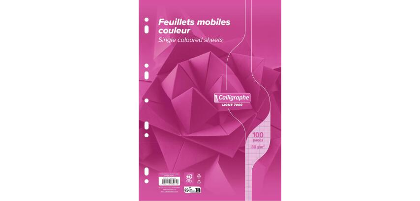 Feuillets mobiles sous film 7000 A4 100 pages perforées grands carreaux 80 g