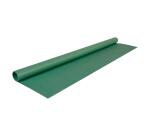Canson kraftpapier ft 68 x 300 cm, groen