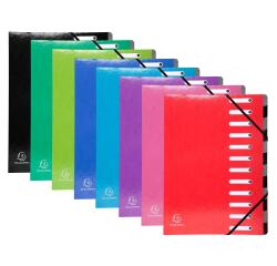 Exacompta Iderama Harmonika Multipart File, A4, 12 sections - Assorted colours