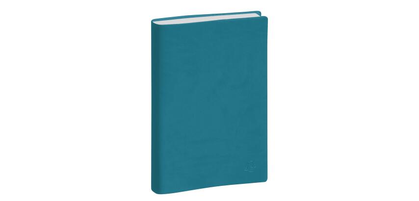 Agenda de bureau Journée planifiée 21 Winner 13,5 x 21 cm Semainier Janvier à Décembre 2027 - Couleurs assorties