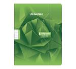 Cahier de brouillon piqué 7000 17x22 cm 48 pages grands carreaux 56 g - Vert