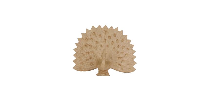 Paon 24cm - Kraft