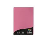 Etui de 50 feuilles Pollen 210x297mm 120g/m2