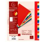 Intercalaires imprimés numériques PP couleurs 12/100e - 31 positions - A4+ - Assorties vives