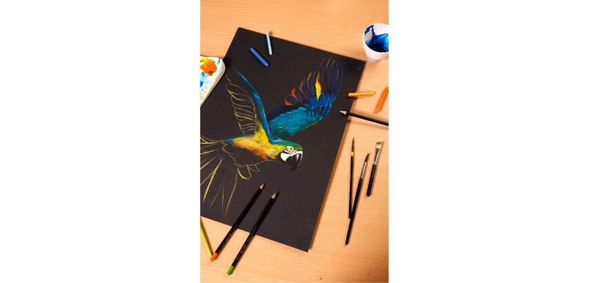 PaintON Noir, Rolle 1,3x10 m, 250g, schwarz, Mixed Media - Schwarz