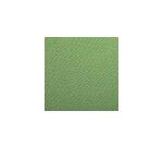 Etival Color paquet 25F A3 160g - Vert pomme
