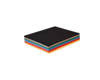 Tulipe rame 250F 25x32,5cm 160g - Assortiment