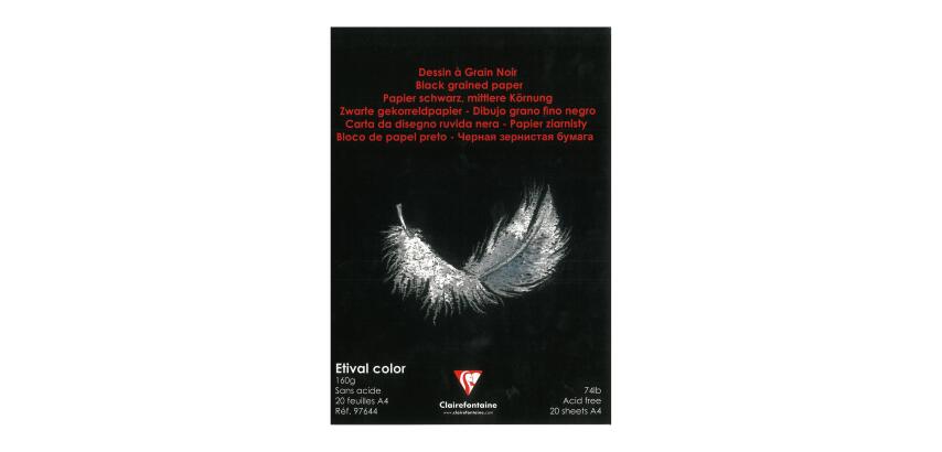 Etival Color bloc collé 20F A4 160g - Noir