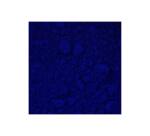 Blockx Artist Pigment - 100ml