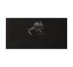 Flying Spirit, Skizzenheft 10,5x21 cm, Fadenbindung, 50 Blatt 90g - Schwarz
