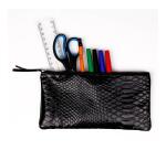 REPTILE DESIGN Trousse plate 22x11 cm, Python noir - Python noir